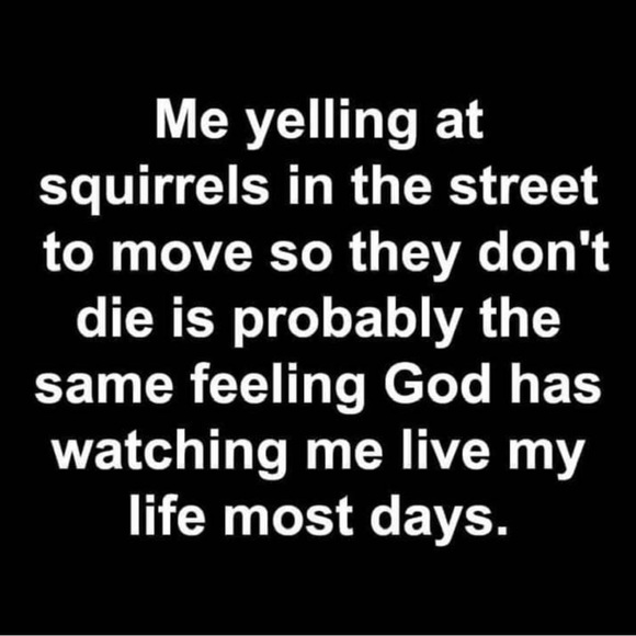 Meet your Posher, Bethie - Picture 9 of 16